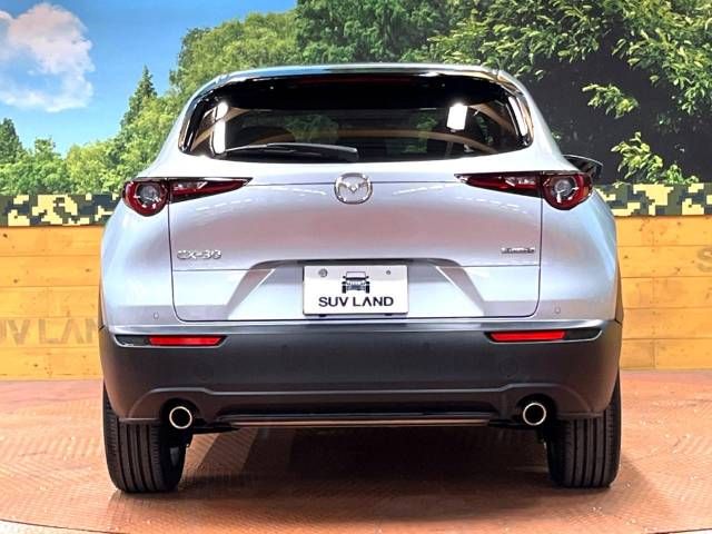 Mazda CX-30 2020-03 19367-15