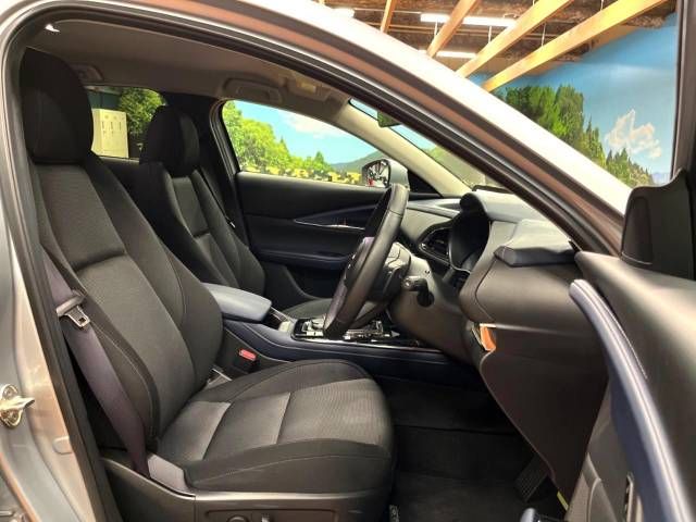 Mazda CX-30 2020-03 19367-8