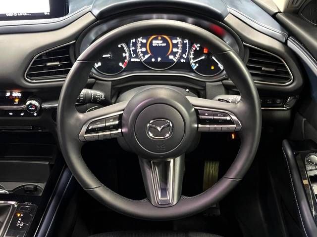 Mazda CX-30 2020-03 19367-11