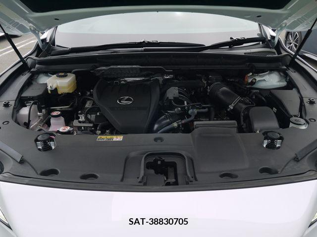 Lexus RX 2023-08 277858-2