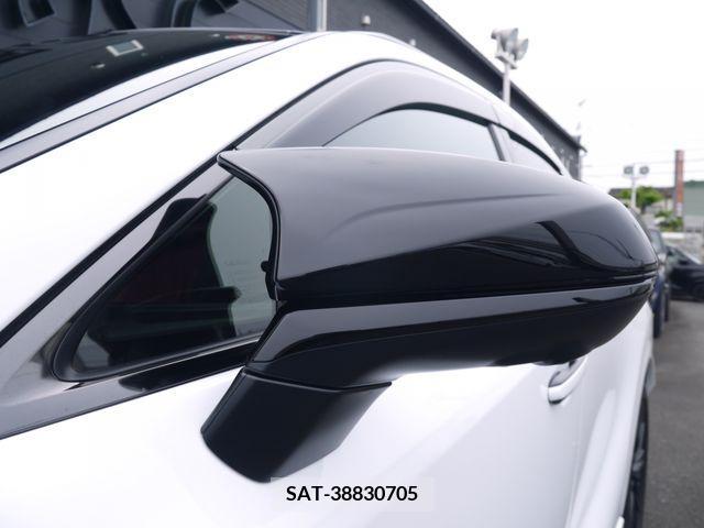 Lexus RX 2023-08 277858-11