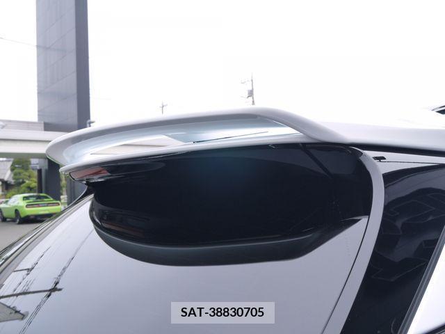 Lexus RX 2023-08 277858-18