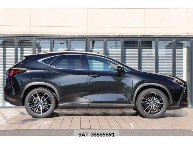 Lexus NX 2023-08 299138-7