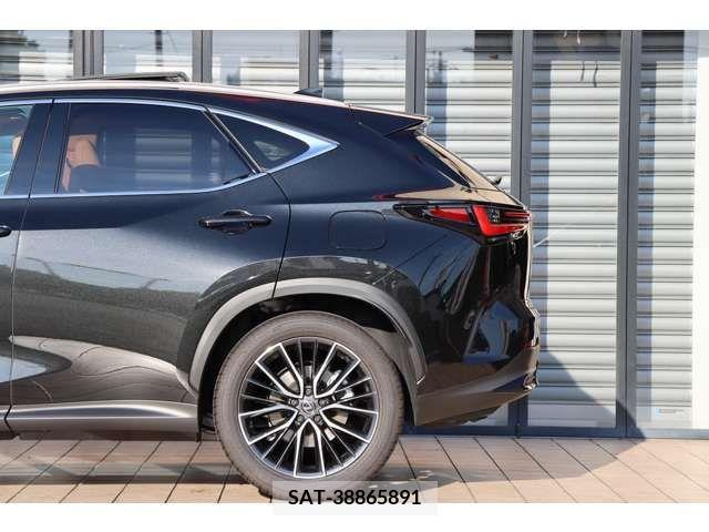 Lexus NX 2023-08 299138-14