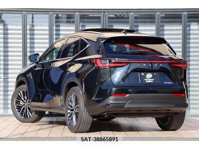 Lexus NX 2023-08 299138-11
