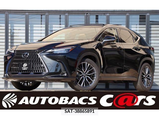 Lexus NX 2023-08 299138-0