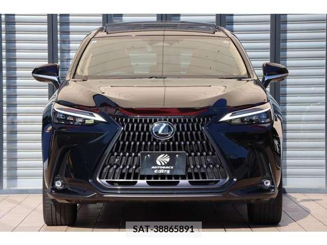 Lexus NX 2023-08 299138-5