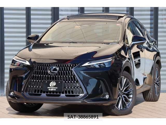 Lexus NX 2023-08 299138-19