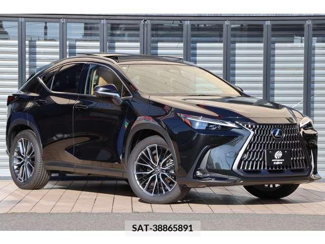 Lexus NX 2023-08 299138-6