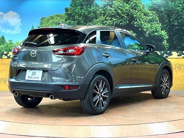 Mazda CX-3 2018-01 8960-17
