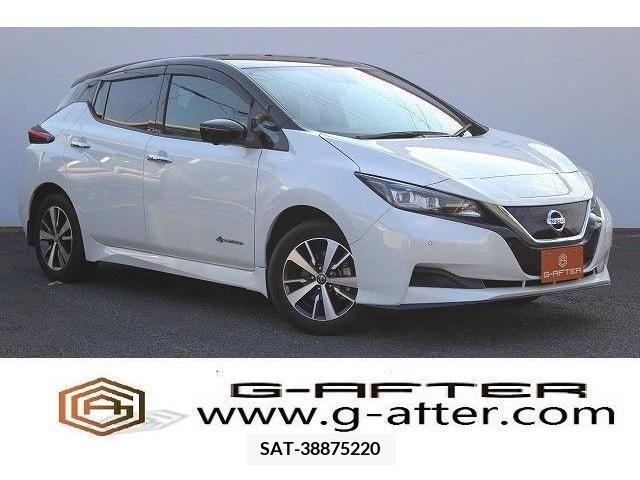 Nissan LEAF 2019-05 352801-0
