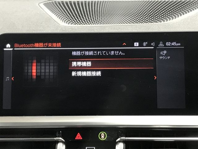 Bmw 3 SERIES 2019-09 14631-26
