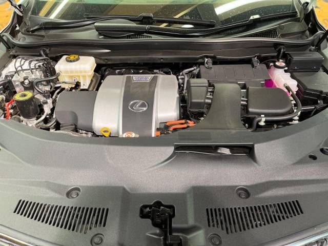 Lexus RX 2021-11 22166-19