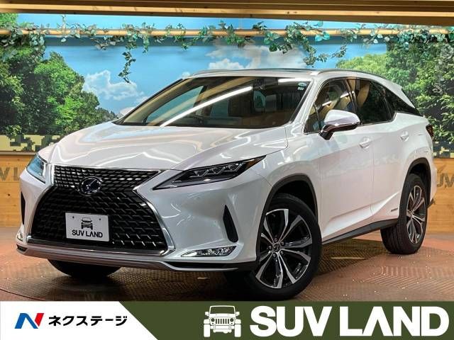 Lexus RX 2021-11 22166-0