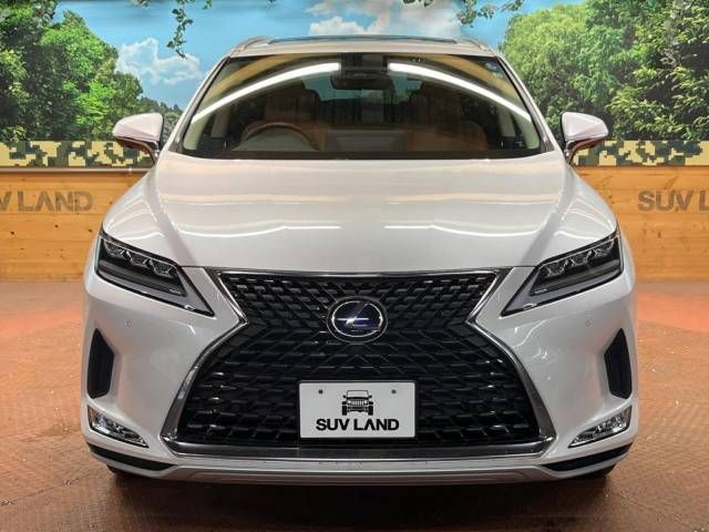 Lexus RX 2021-11 22166-17