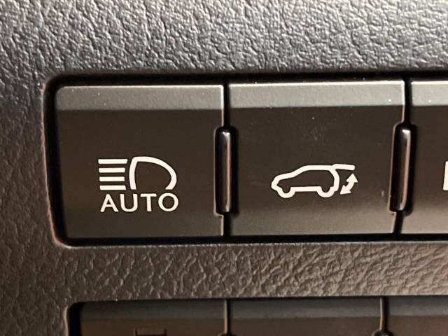 Lexus RX 2021-11 22166-7