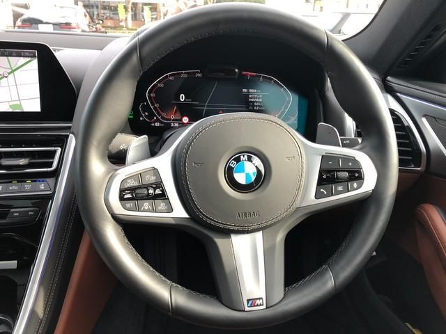 Bmw 8 SERIES 2019-11 3622-15