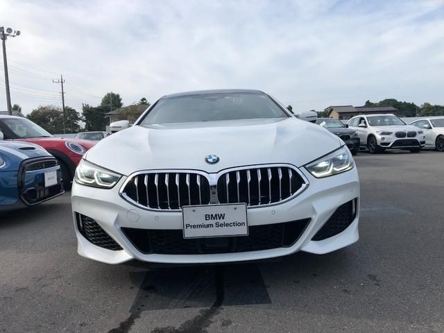 Bmw 8 SERIES 2019-11 3622-3