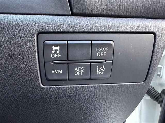 Mazda AXELA SPORT 2015-01 190053-29
