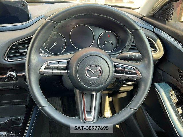 Mazda CX-30 2019-10 302103-13