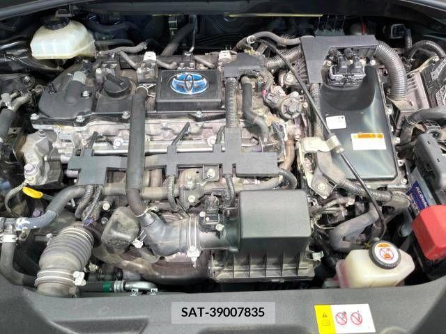 Toyota C-HR 2018-09 294916-19