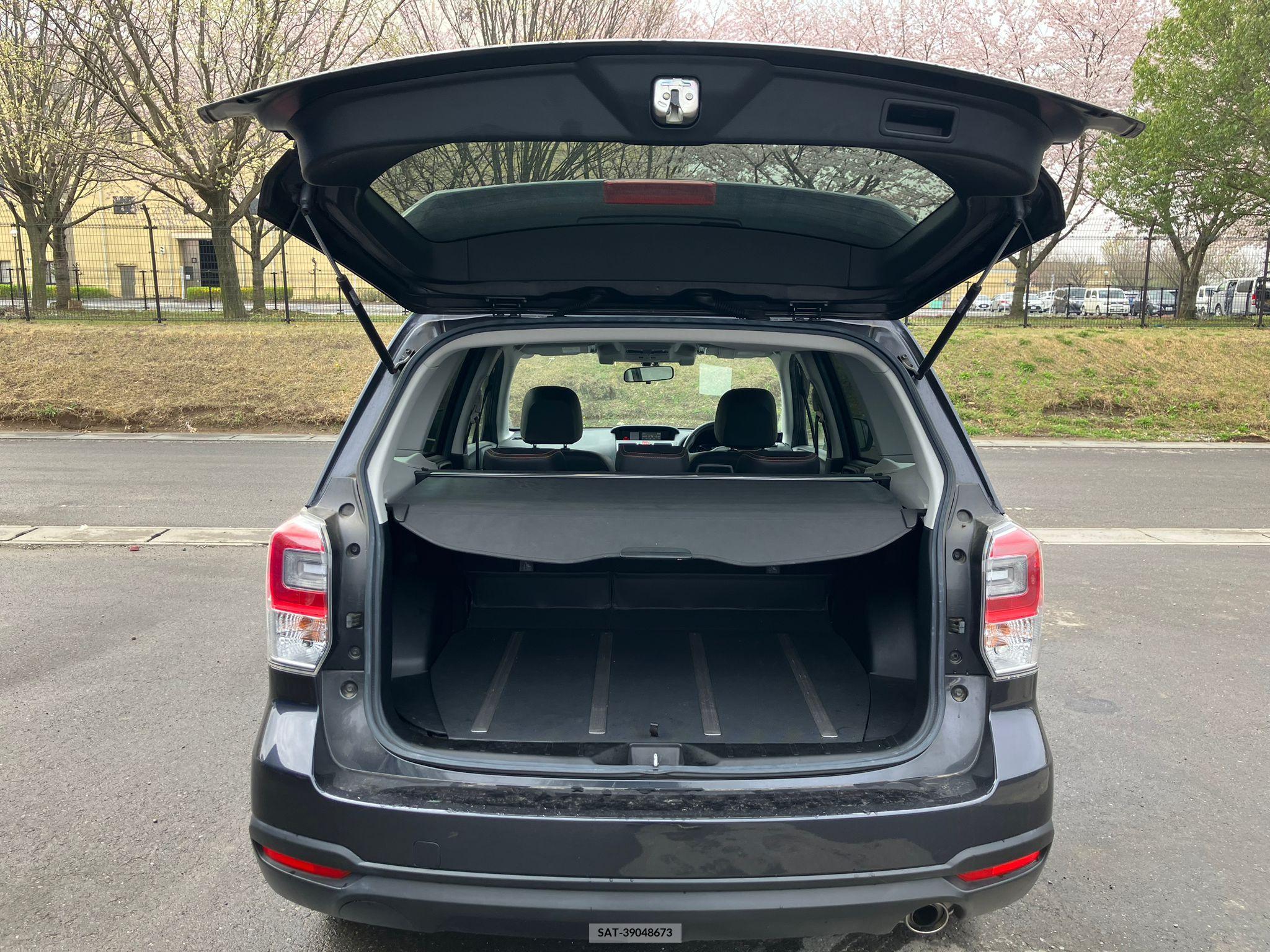 Subaru FORESTER 2017-02 258196-18