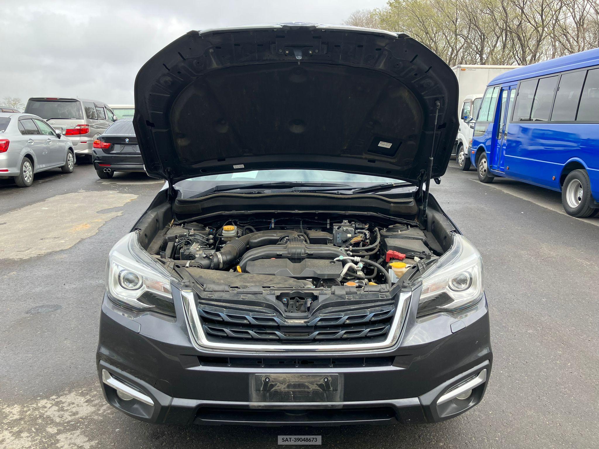 Subaru FORESTER 2017-02 258196-25