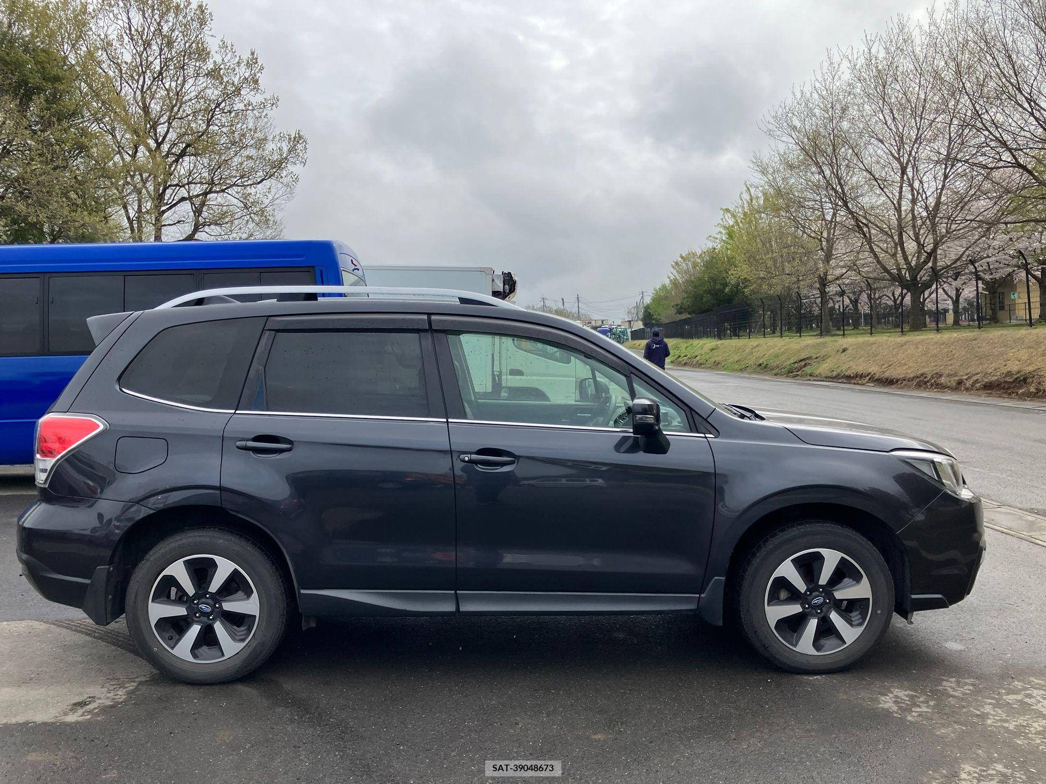Subaru FORESTER 2017-02 258196-6