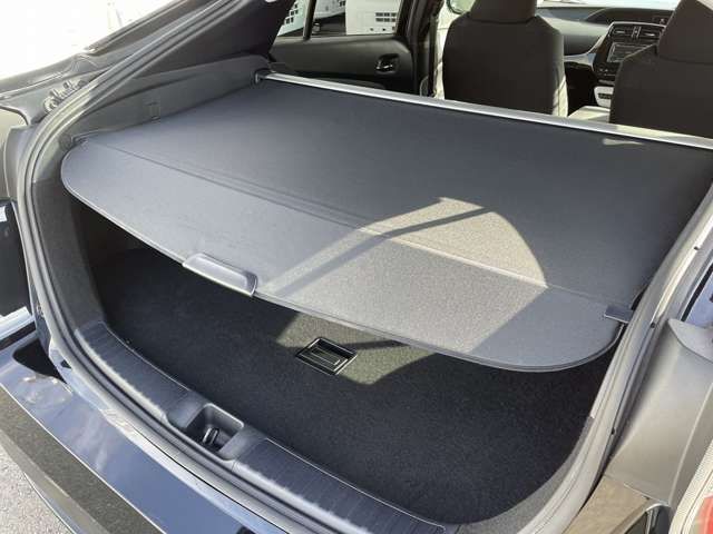 Toyota PRIUS 2017-01 20679-25