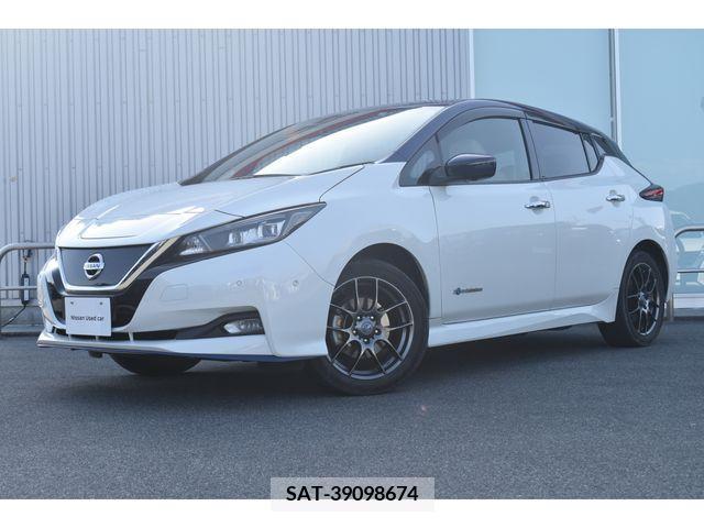 Nissan LEAF 2021-04 373284-0