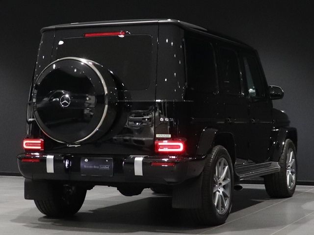 Amg G-CLASS 2018-12 16481-10