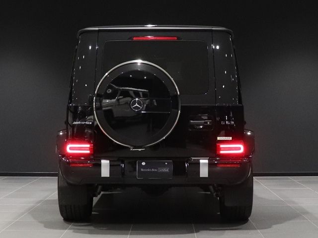 Amg G-CLASS 2018-12 16481-11