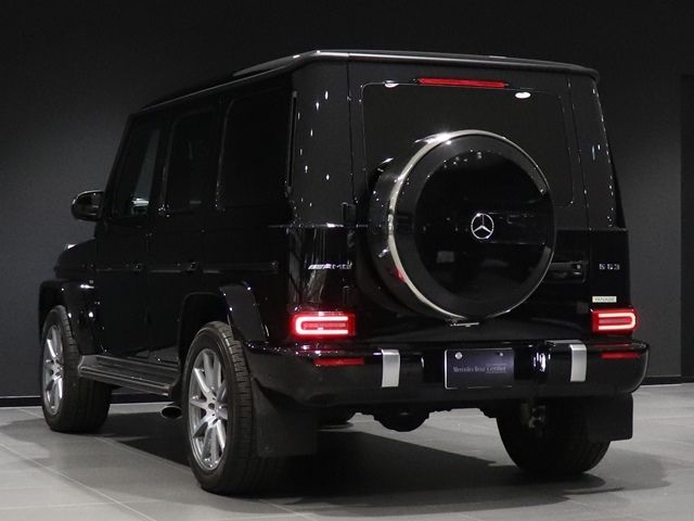 Amg G-CLASS 2018-12 16481-12