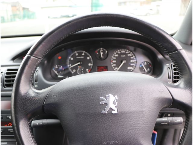 Peugeot 406 2001-03 738-1