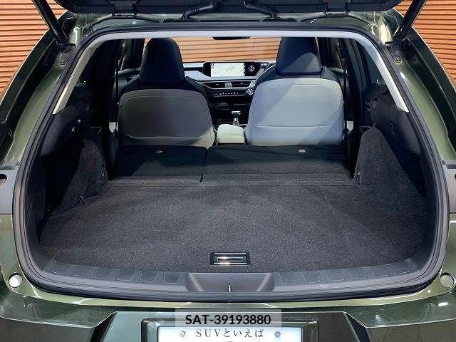 Lexus UX 2018-11 353941-12