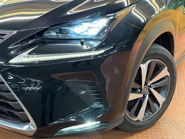 Lexus NX 2018-01 11411-14
