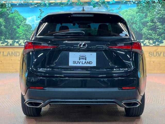 Lexus NX 2018-01 11411-17