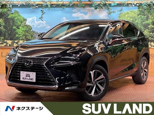 Lexus NX 2018-01 11411-0