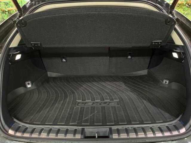 Lexus NX 2018-01 11411-13
