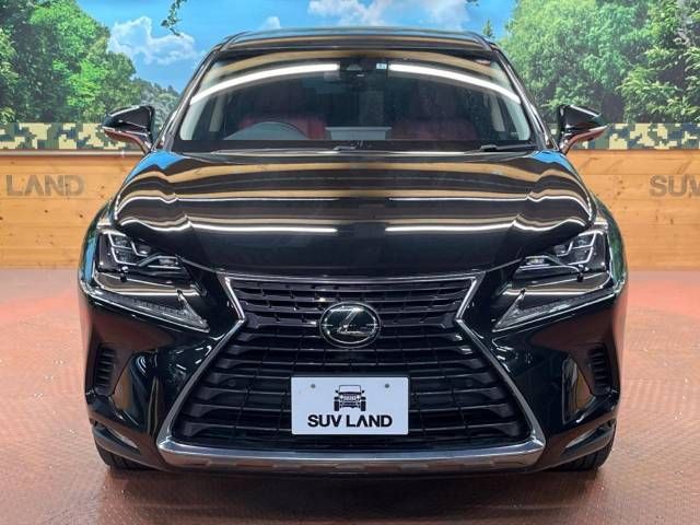 Lexus NX 2018-01 11411-16