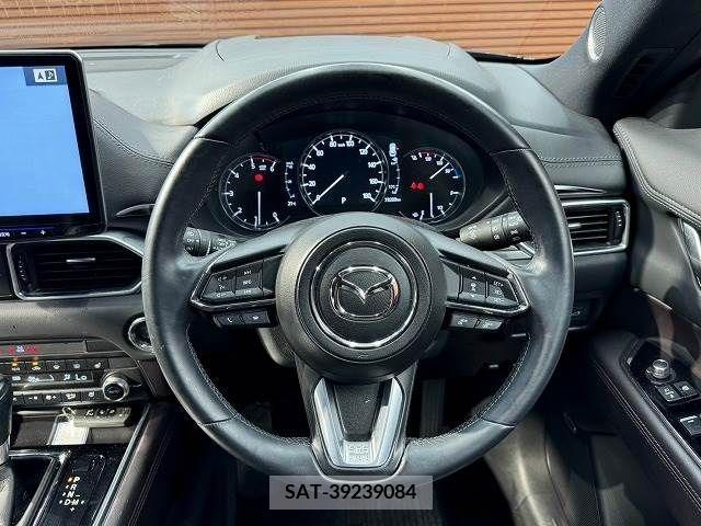 Mazda CX-8 2019-04 378621-12