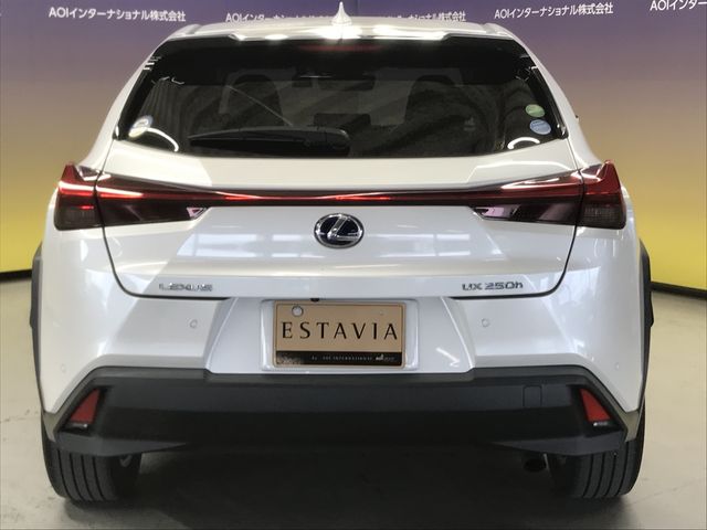 Lexus UX 2019-11 188611-7