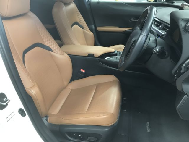 Lexus UX 2019-11 188611-11
