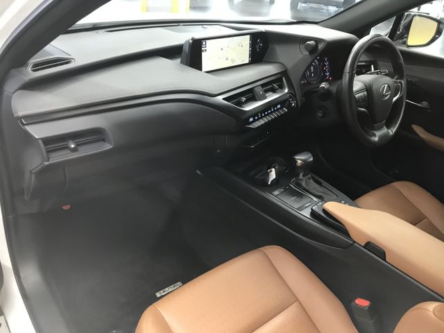 Lexus UX 2019-11 188611-9