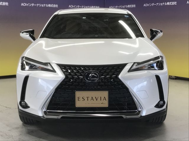 Lexus UX 2019-11 188611-4