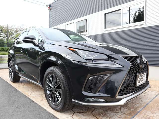 Lexus NX 2020-12 16128-2