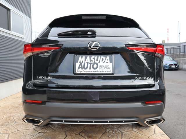 Lexus NX 2020-12 16128-5