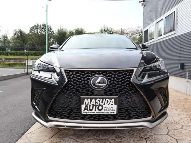 Lexus NX 2020-12 16128-1