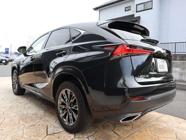 Lexus NX 2020-12 16128-4