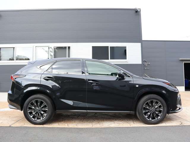 Lexus NX 2020-12 16128-3